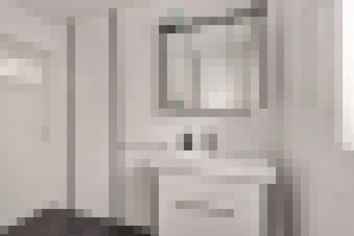 Wijmersweg 39 Loppersum thumbnail 29