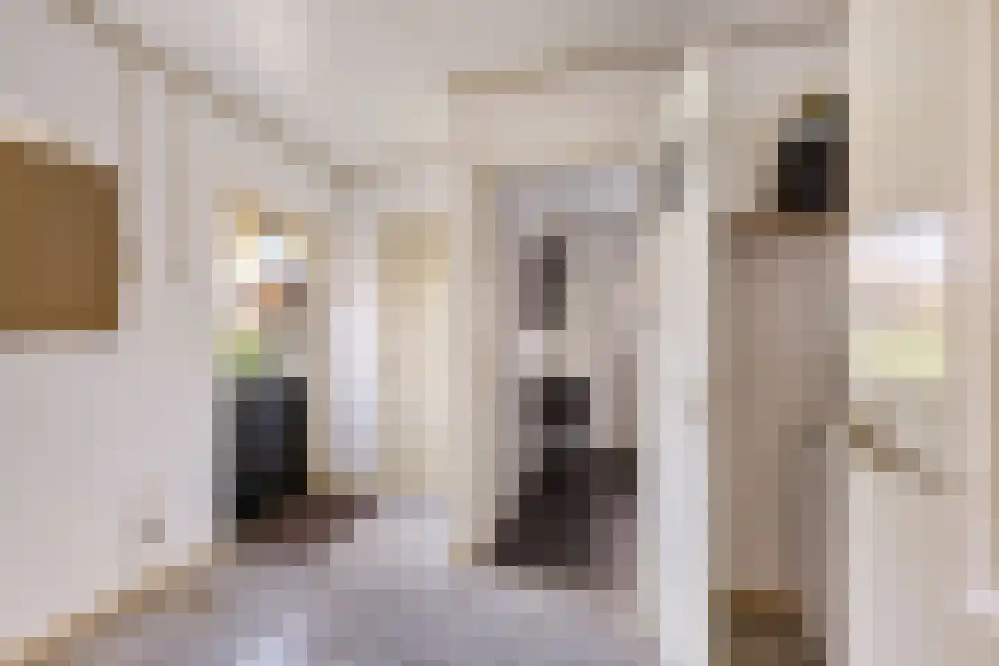 Wijmersweg 39 Loppersum thumbnail 31