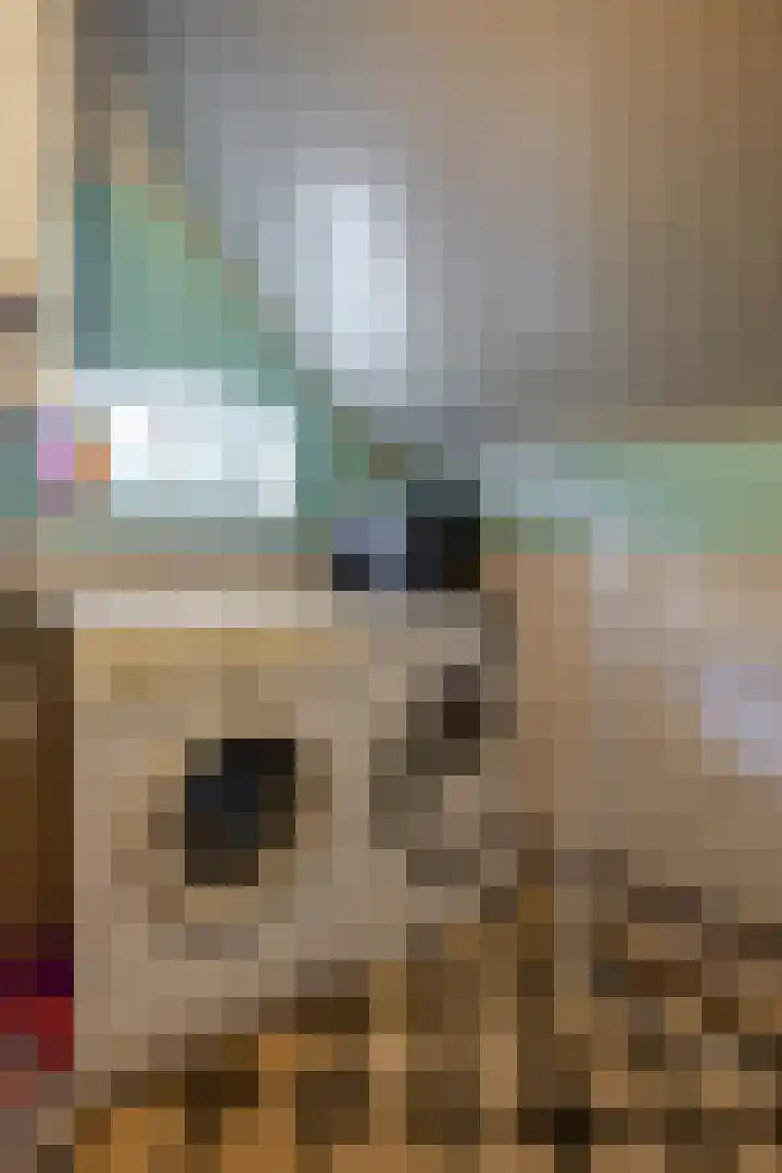 Wijmersweg 6 Garrelsweer thumbnail 25