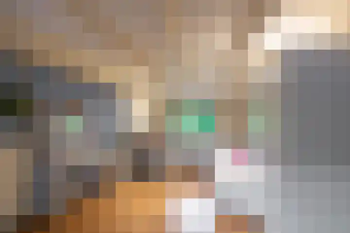 Wijmersweg 6 Garrelsweer thumbnail 30