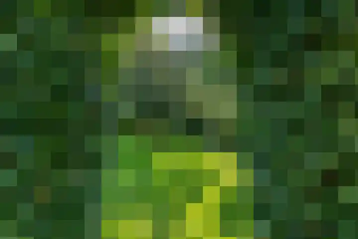 Wijmersweg 6 Garrelsweer thumbnail 32