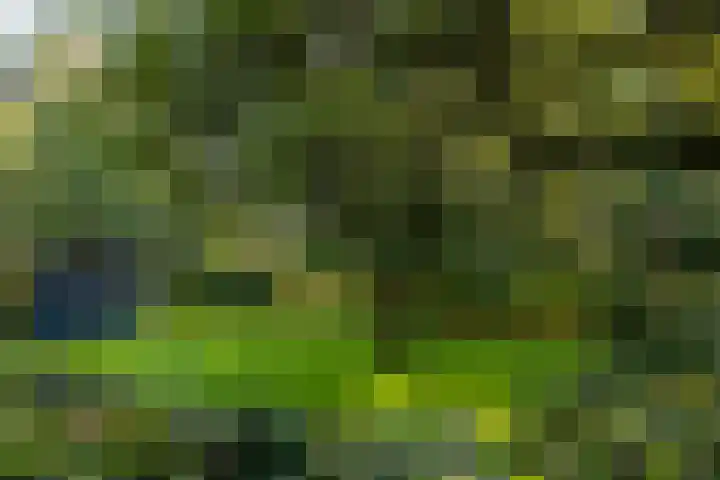 Wijmersweg 6 Garrelsweer thumbnail 33