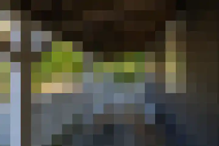 Wijmersweg 6 Garrelsweer thumbnail 36