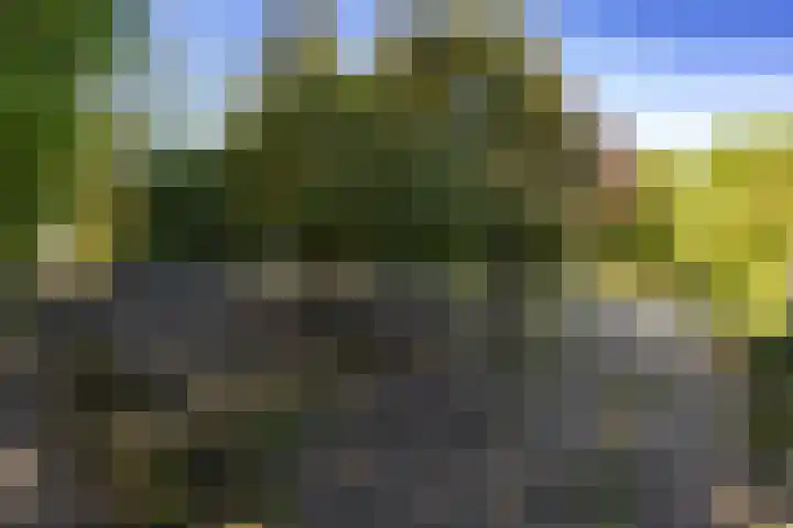 Wijmersweg 6 Garrelsweer thumbnail 46