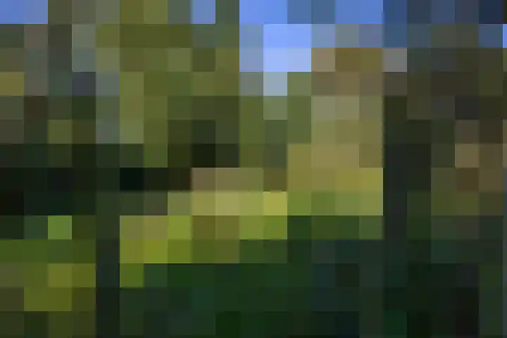 Wijmersweg 6 Garrelsweer thumbnail 47