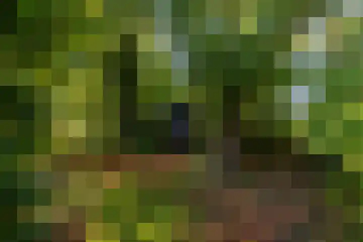 Wijmersweg 6 Garrelsweer thumbnail 48