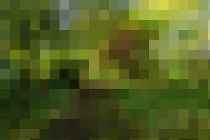 Wijmersweg 6 Garrelsweer thumbnail 49