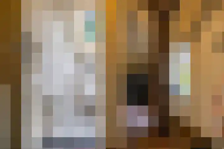 Wijmersweg 6 Garrelsweer thumbnail 5
