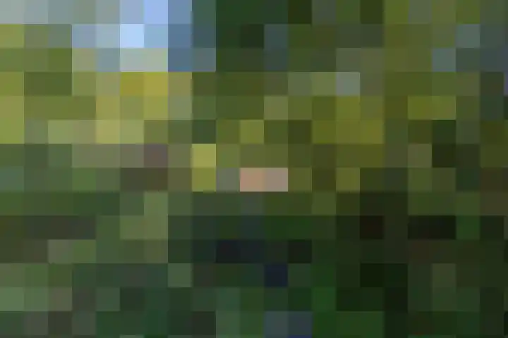 Wijmersweg 6 Garrelsweer thumbnail 50