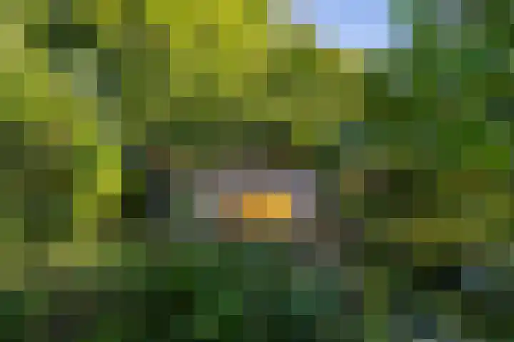 Wijmersweg 6 Garrelsweer thumbnail 51