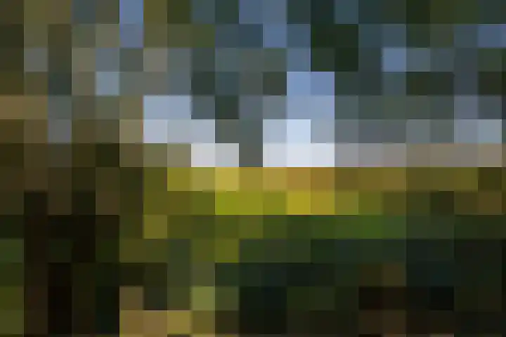 Wijmersweg 6 Garrelsweer thumbnail 52
