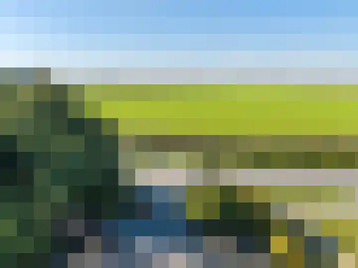 Wijmersweg 6 Garrelsweer thumbnail 53