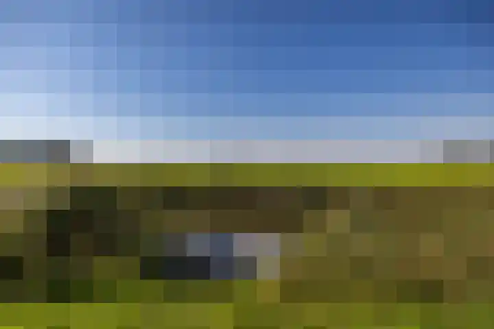 Wijmersweg 6 Garrelsweer thumbnail 56