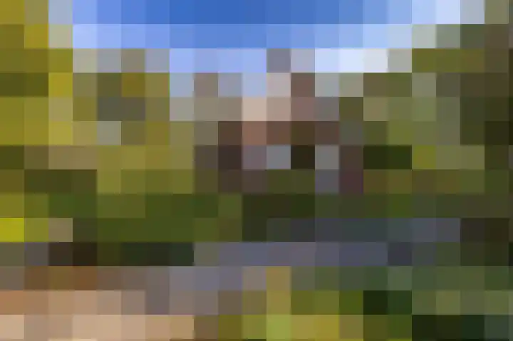 Wijmersweg 6 Garrelsweer thumbnail 57