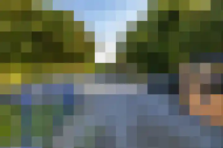 Wijmersweg 6 Garrelsweer thumbnail 58