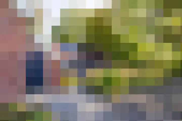 Wijmersweg 6 Garrelsweer thumbnail 60