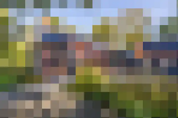 Wijmersweg 6 Garrelsweer thumbnail 62