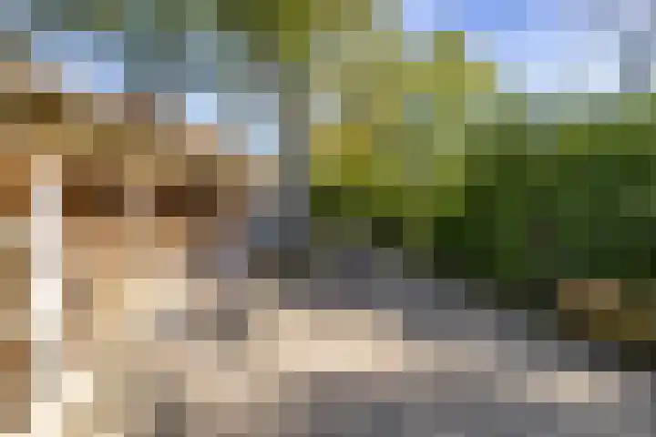 Wijmersweg 6 Garrelsweer thumbnail 63
