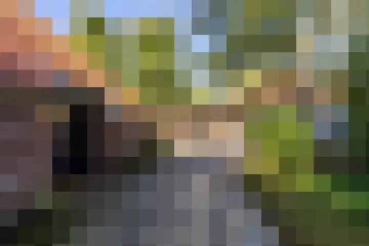 Wijmersweg 6 Garrelsweer thumbnail 64