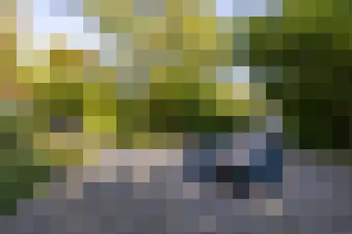 Wijmersweg 6 Garrelsweer thumbnail 67