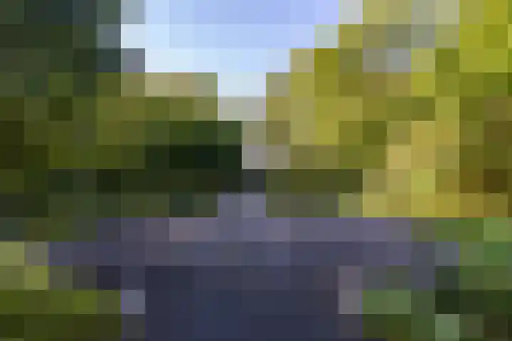 Wijmersweg 6 Garrelsweer thumbnail 68