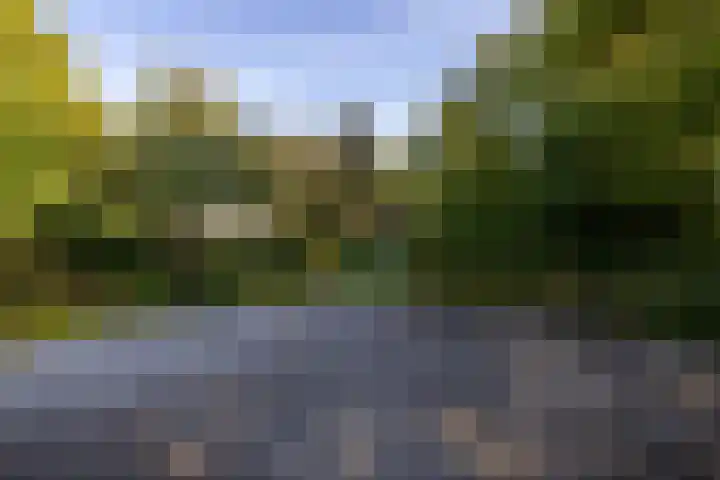 Wijmersweg 6 Garrelsweer thumbnail 69
