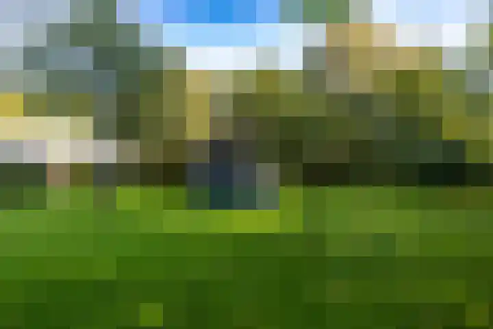 Wijmersweg 6 Garrelsweer thumbnail 71