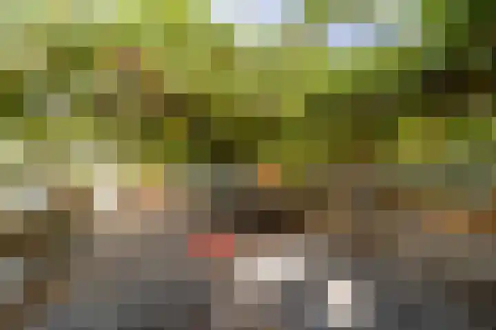 Wijmersweg 6 Garrelsweer thumbnail 73
