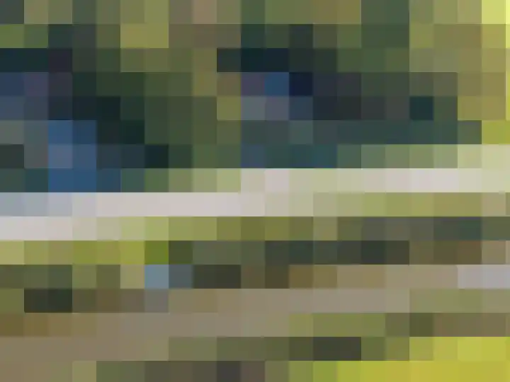 Wijmersweg 6 Garrelsweer thumbnail 75