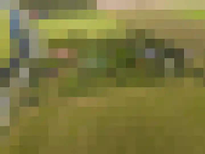 Wijmersweg 6 Garrelsweer thumbnail 80