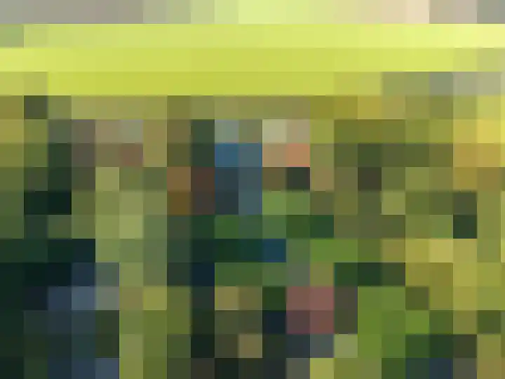 Wijmersweg 6 Garrelsweer thumbnail 82