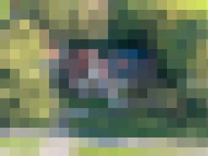 Wijmersweg 6 Garrelsweer thumbnail 85