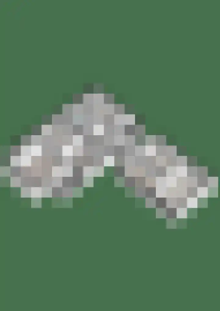 Wijmersweg 6 Garrelsweer thumbnail 87
