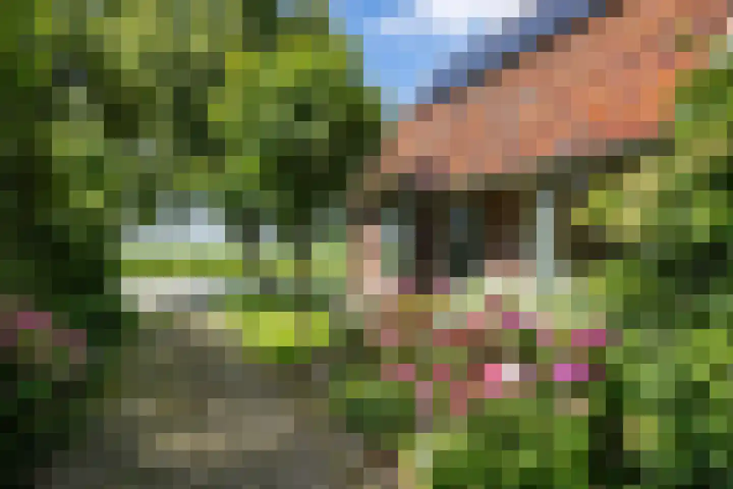 Wijmersweg 81 Loppersum thumbnail 13