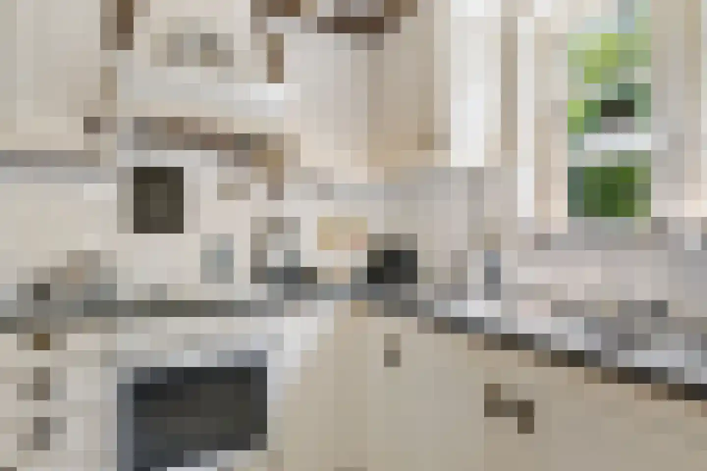 Wijmersweg 81 Loppersum thumbnail 25