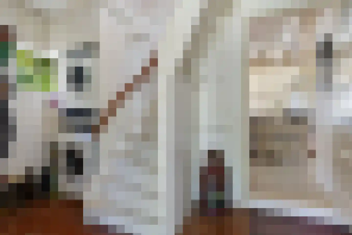 Wijmersweg 81 Loppersum thumbnail 31