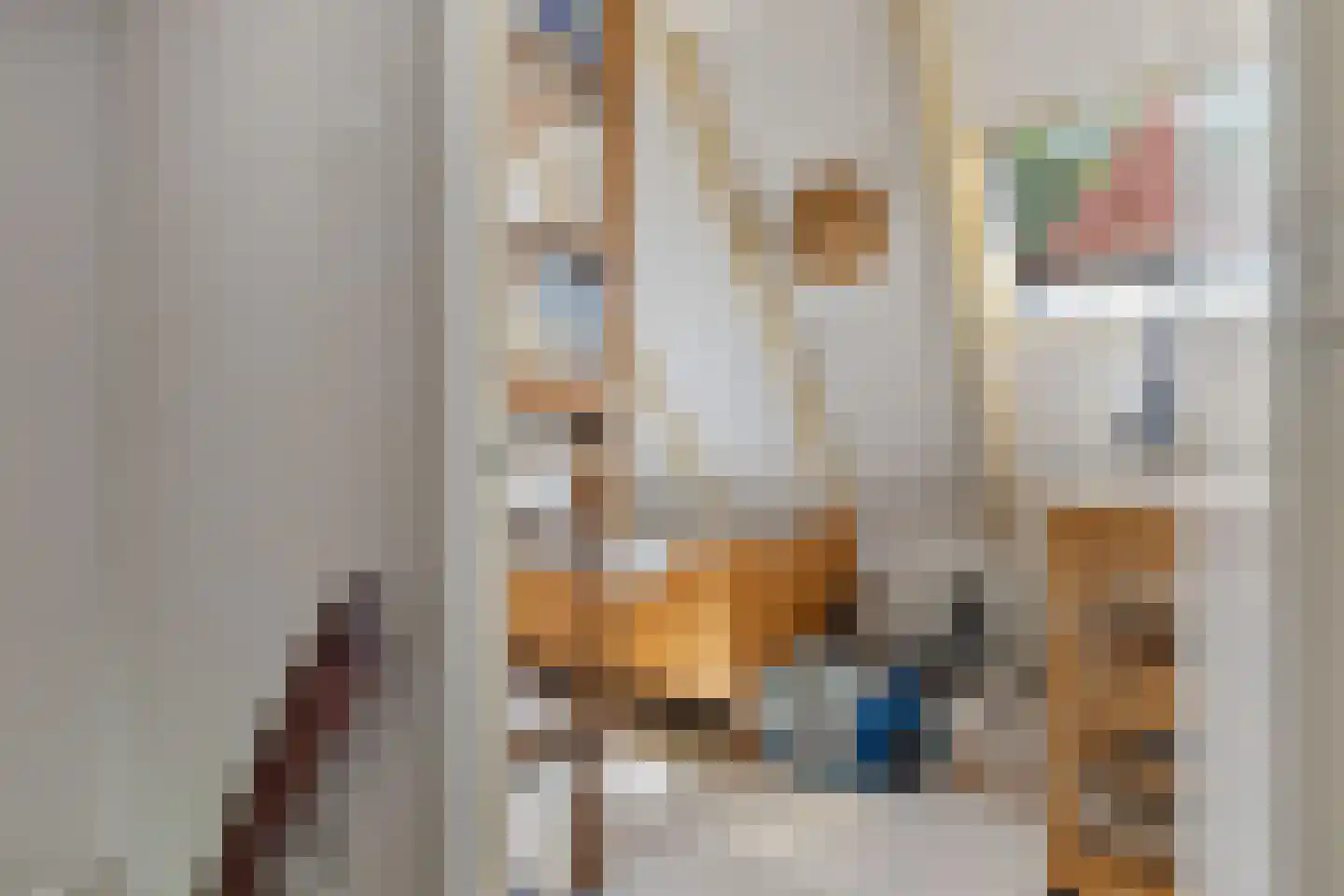 Wijmersweg 81 Loppersum thumbnail 36