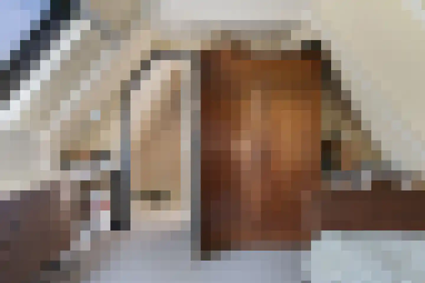 Wijmersweg 81 Loppersum thumbnail 39