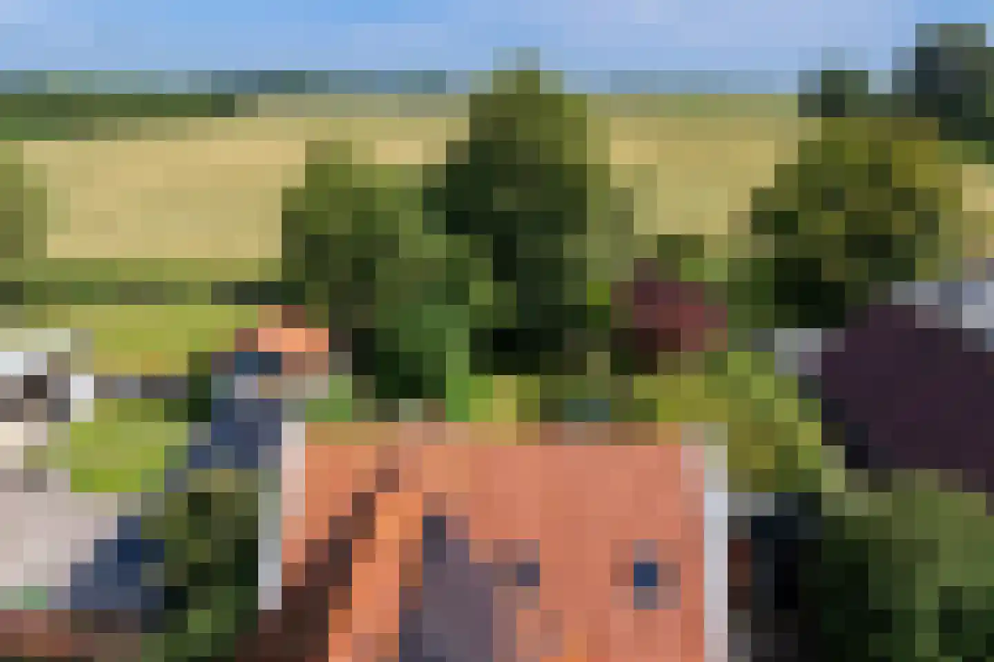 Wijmersweg 81 Loppersum thumbnail 4