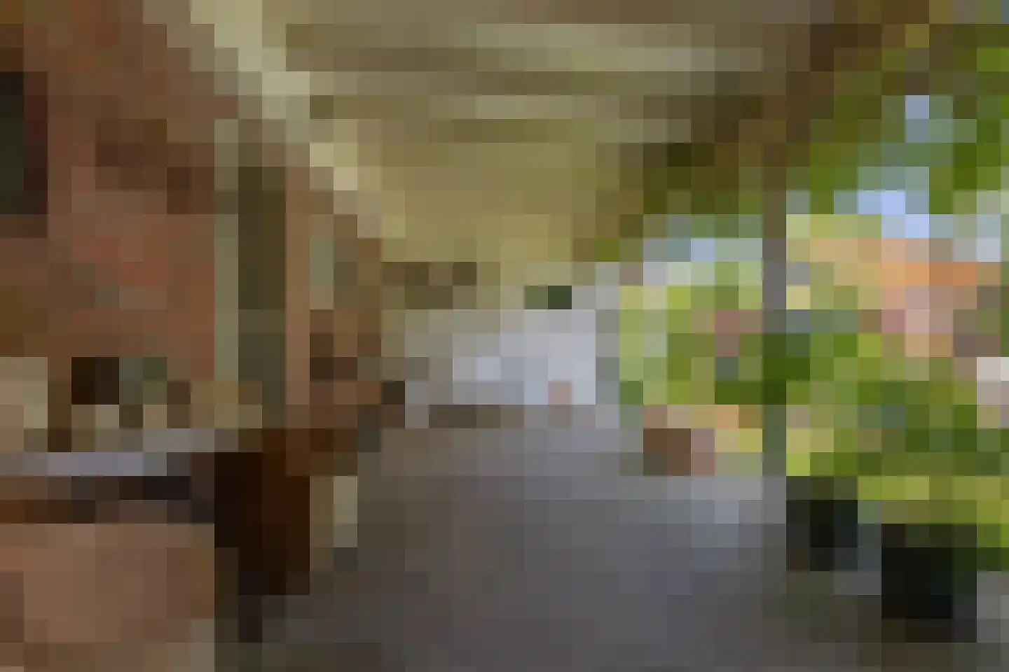 Wijmersweg 81 Loppersum thumbnail 41