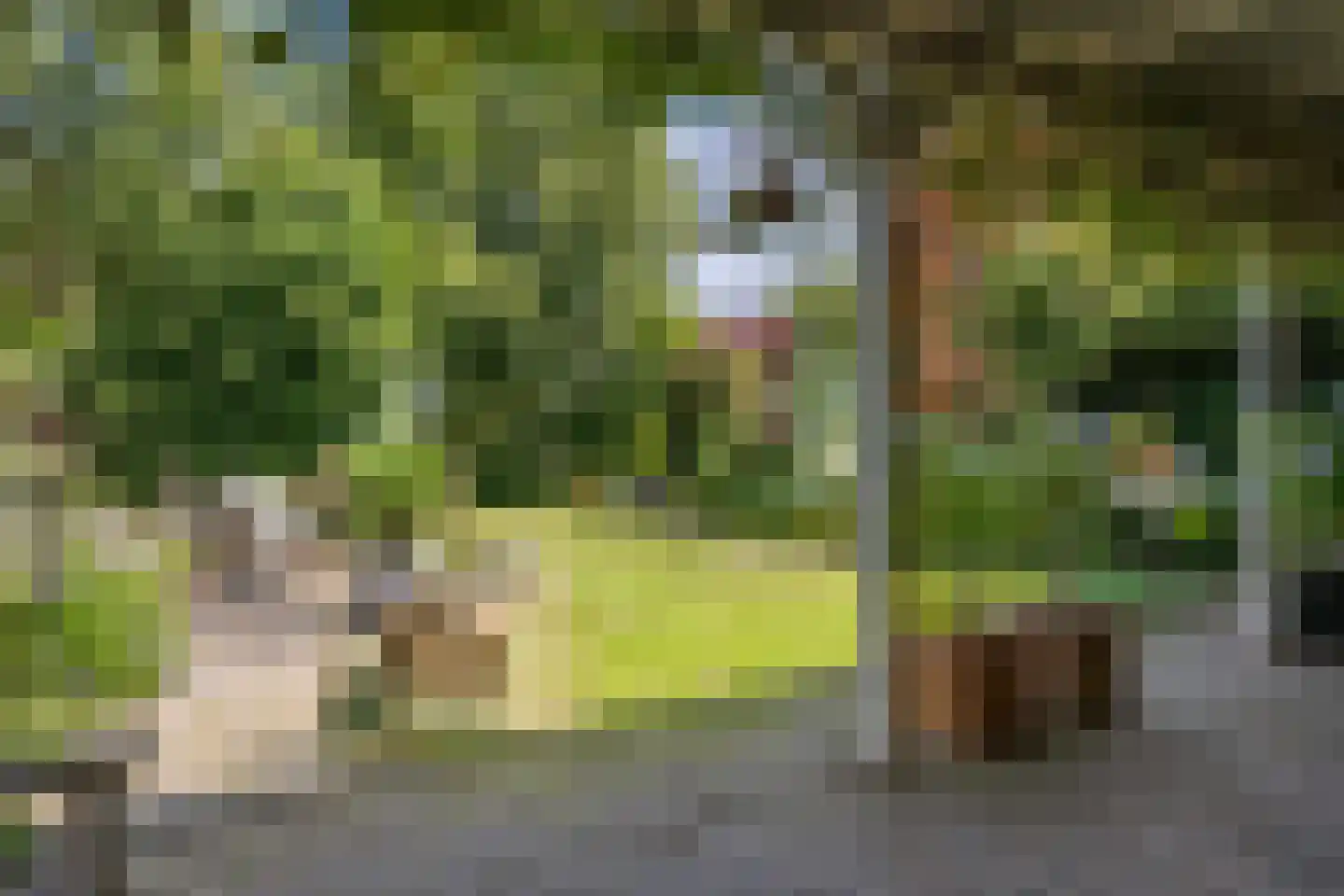 Wijmersweg 81 Loppersum thumbnail 42