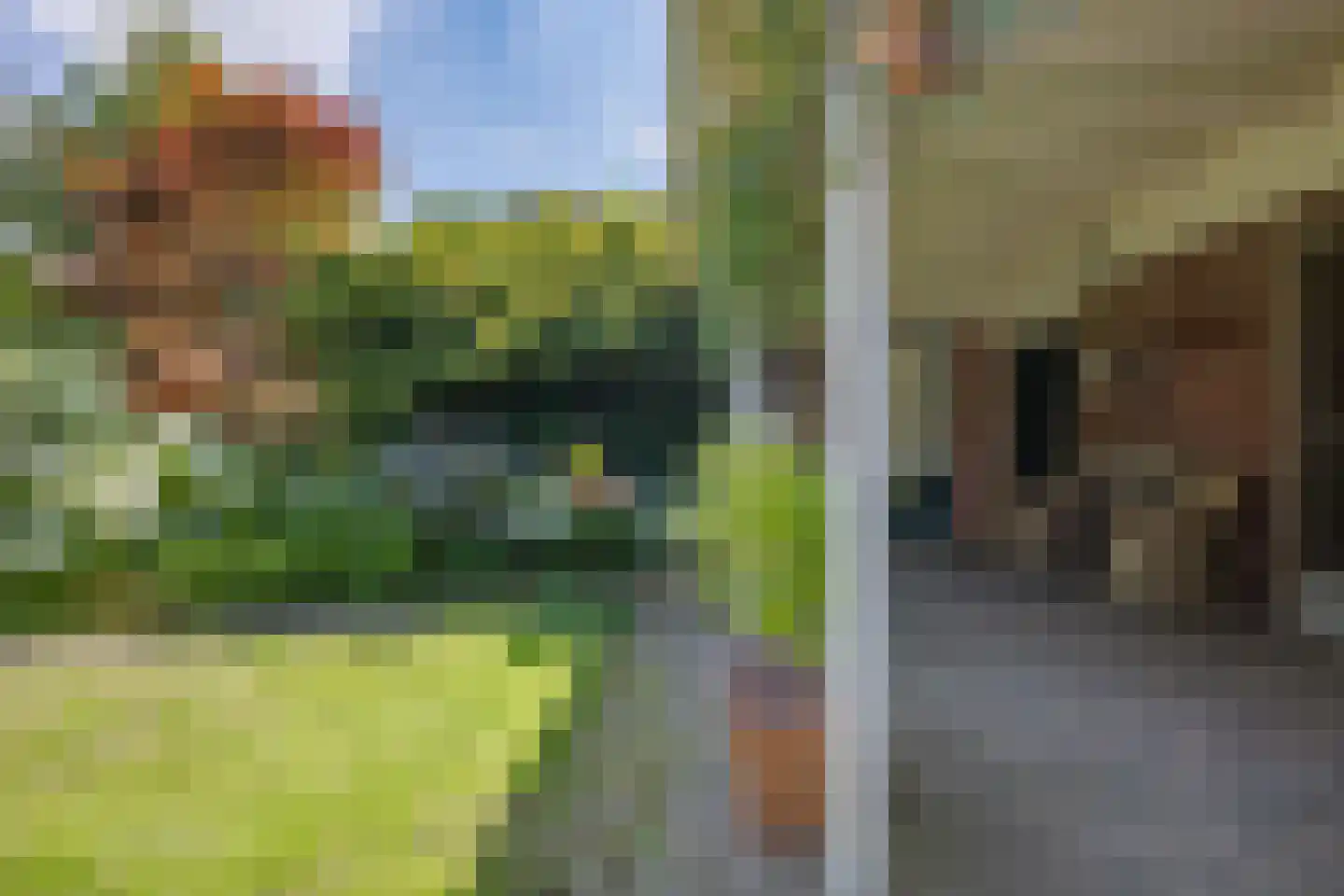 Wijmersweg 81 Loppersum thumbnail 43
