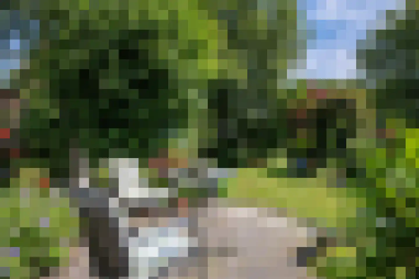 Wijmersweg 81 Loppersum thumbnail 44