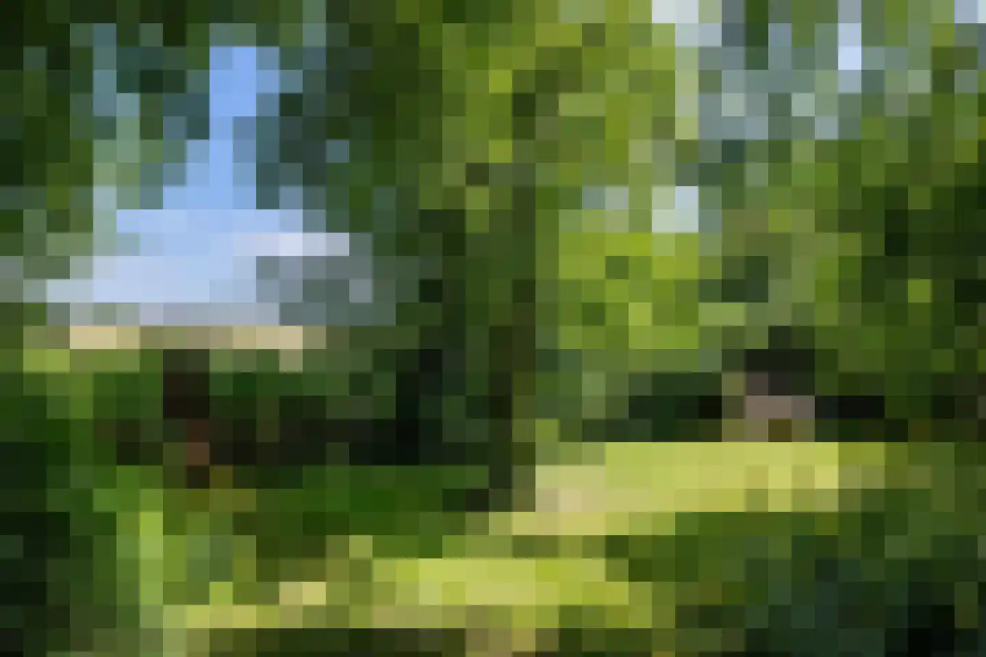 Wijmersweg 81 Loppersum thumbnail 45