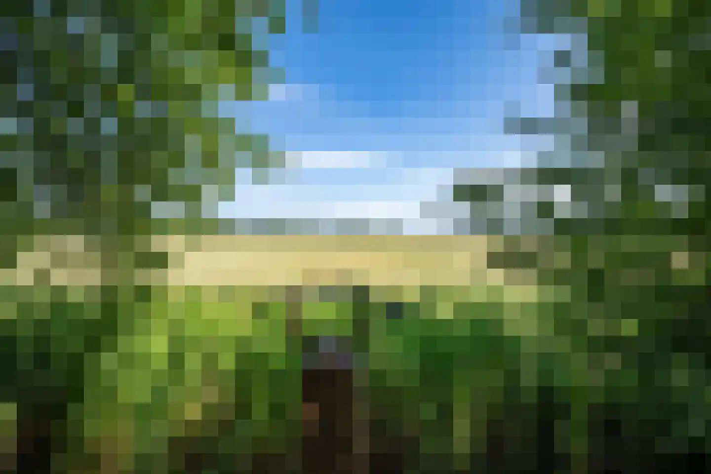 Wijmersweg 81 Loppersum thumbnail 46