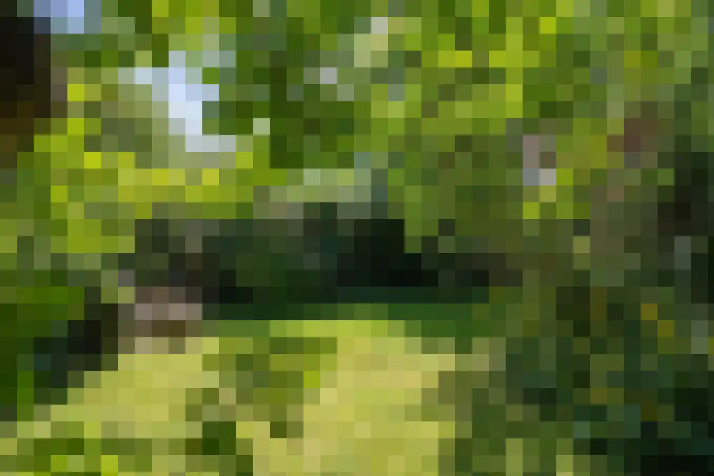 Wijmersweg 81 Loppersum thumbnail 47