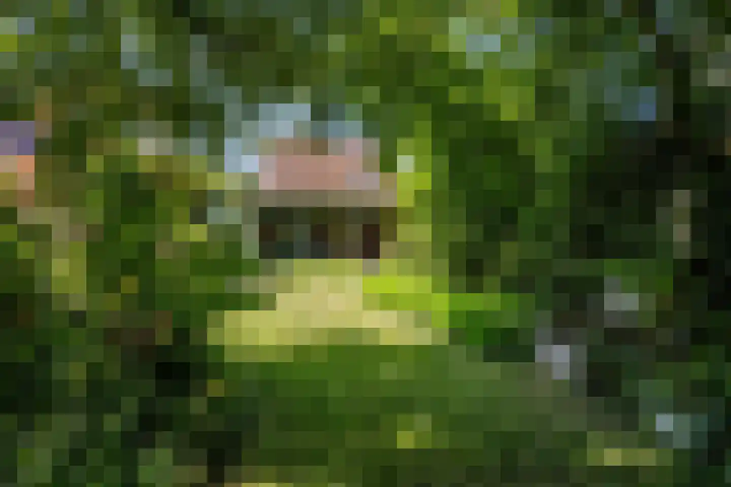 Wijmersweg 81 Loppersum thumbnail 48