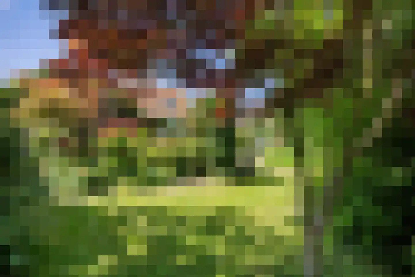 Wijmersweg 81 Loppersum thumbnail 49