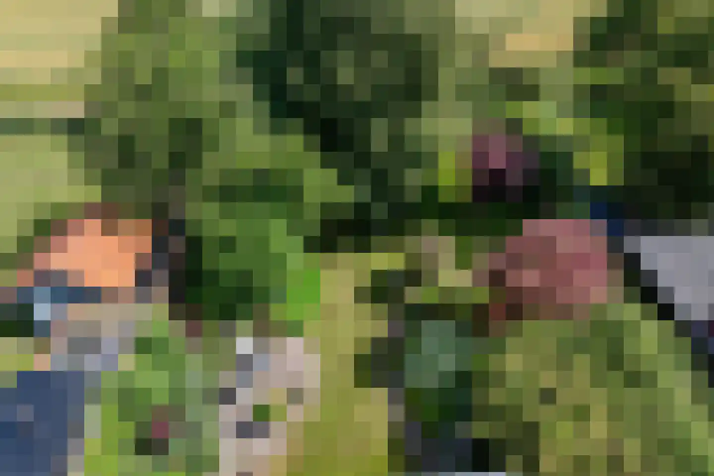 Wijmersweg 81 Loppersum thumbnail 5