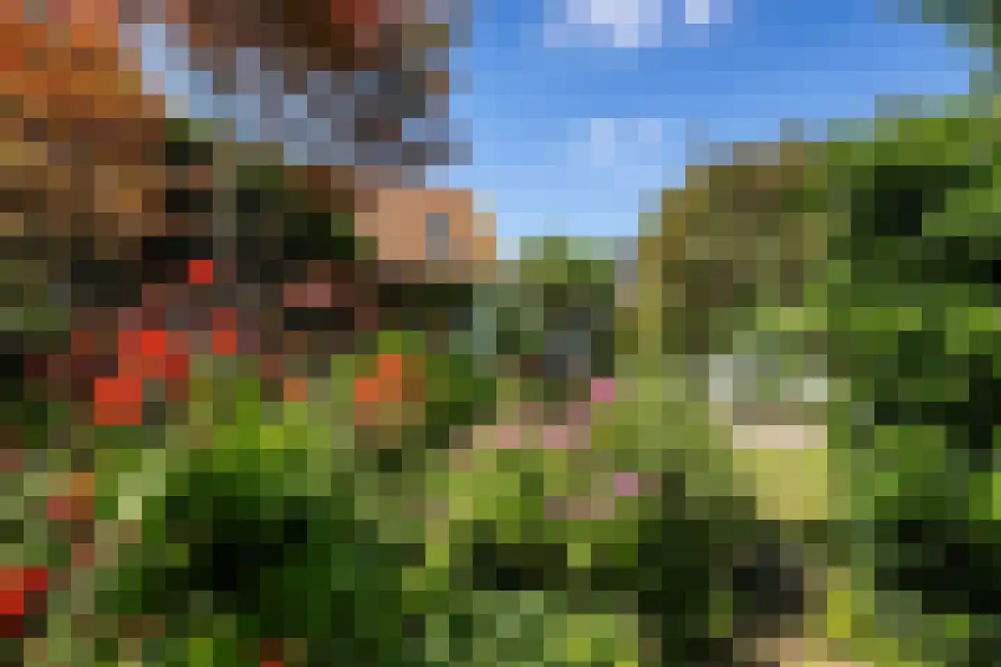 Wijmersweg 81 Loppersum thumbnail 50